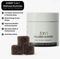 Shilajit 3-in-1 Gummies for Men — Energy, Stamina & Vitality Supplement