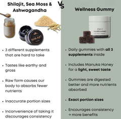 Shilajit 3-in-1 Gummies for Men — Energy, Stamina & Vitality Supplement